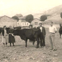 IV Feria de Ganadería de Las 7 Villas
